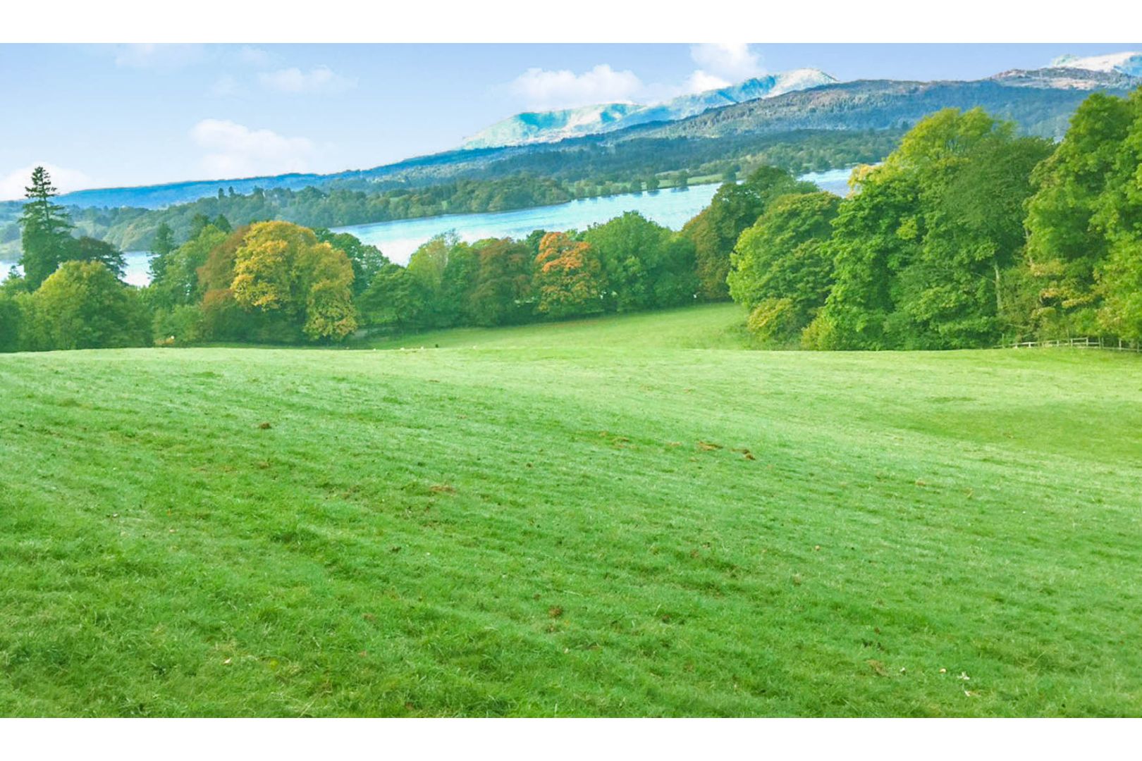 Fieldwholeviewpb.JPG Fieldwholeviewpb.JPG